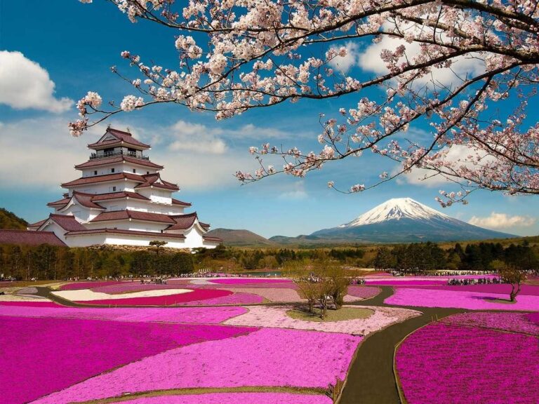 تصویری از بهار بسیار زیبا در کشور ژاپن