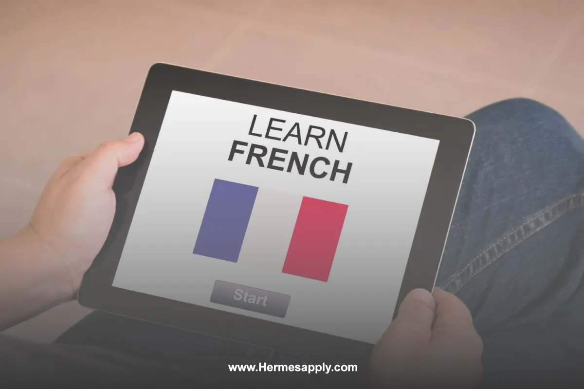 بهترین راه پیشرفت در یادگیری زبان فرانسه