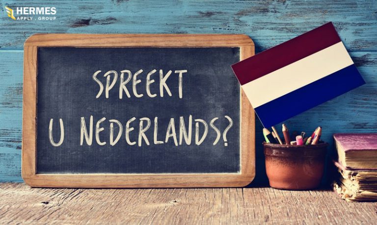 زبان رسمی هلند، زبان هلندی می‌باشد اما از طرفی اغلب شهروندان هلندی به زبان انگلیسی تسلط دارند.