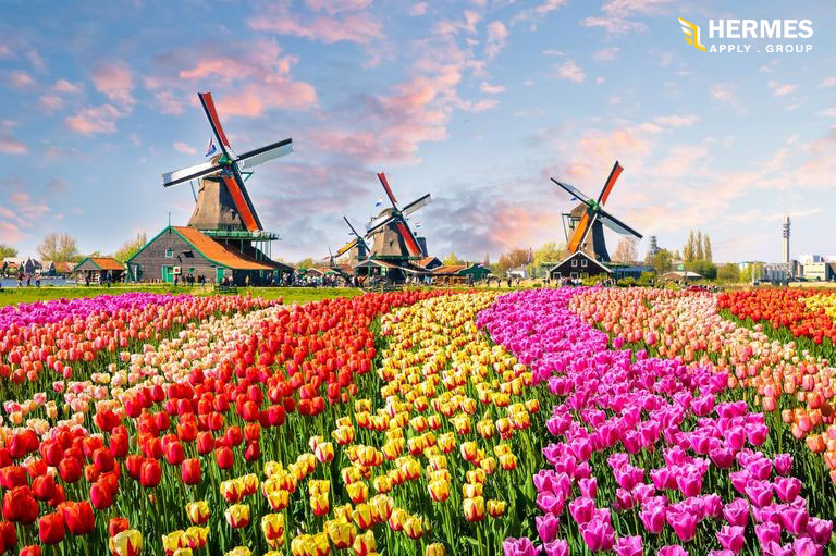 هلند در امنیت، آسایش و رفاه در بین بهترین و باکیفیت‌ترین کشورهای اروپا و جهان قرار دارد.