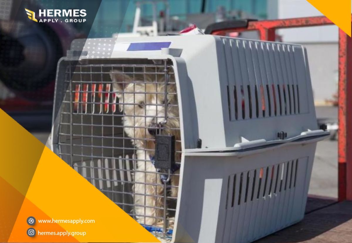 انتقال حیوانات خانگی به آلمان