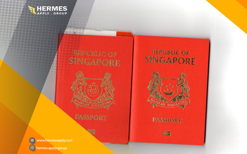 برخی از ویزاها که ویزای موقت نام دارند به افراد برای مدت‌زمانی مشخص اجازه سفر به سنگاپور و اقامت در این کشور را می‌دهند