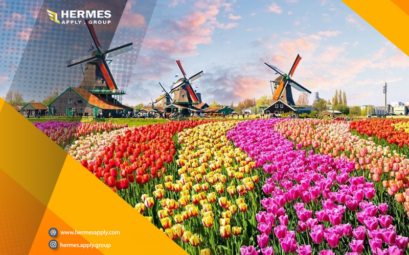 بسیاری از متقاضیان رویای زندگی در کشوری آرام و زیبا مانند هلند را دارند